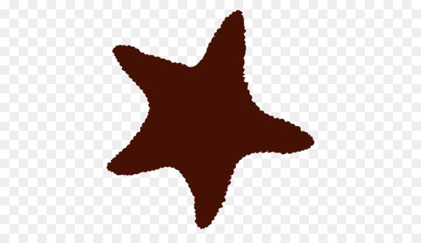 Наклейка морская звезда