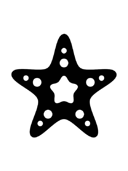 Морская звезда