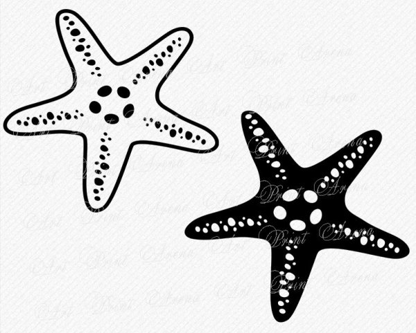 Стилизованная морская звезда