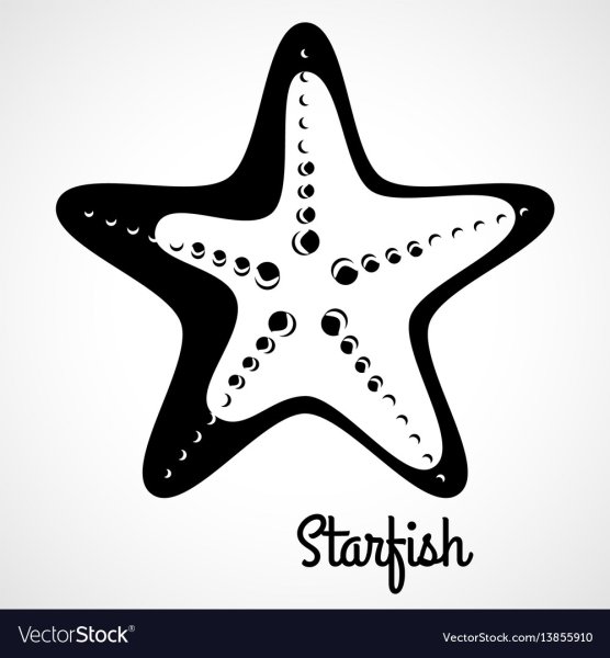 Морская звезда силуэт