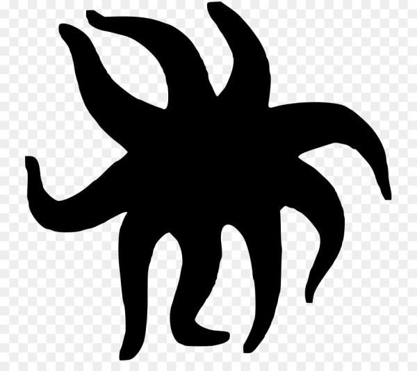 Морская звезда раскраска