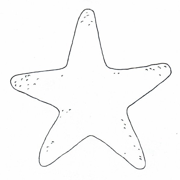 Морская звезда трафарет