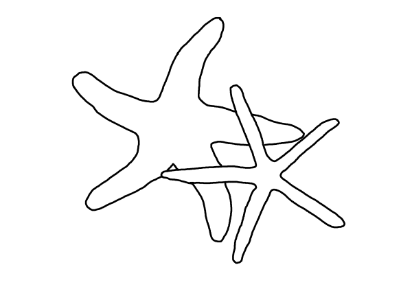 Трафарет для броши Ракушка