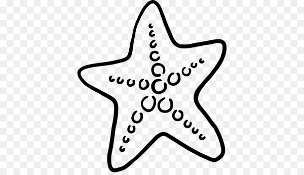 Морская звезда схематичный рисунок