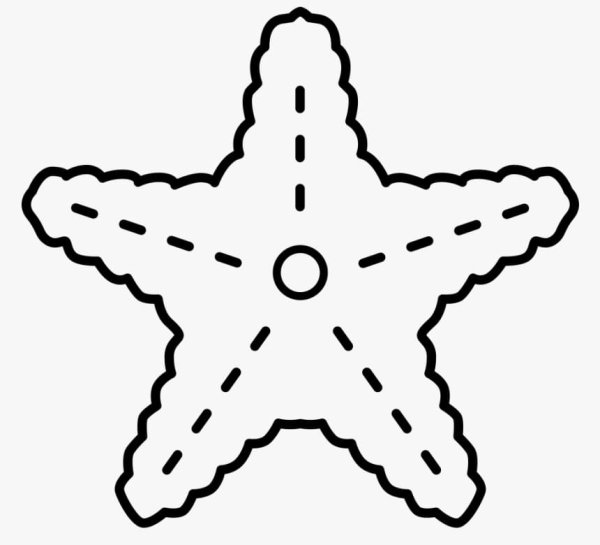 Морская звезда шаблон