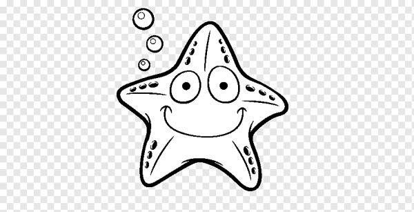 Морская звезда