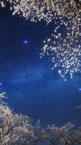 Звезды вертикально