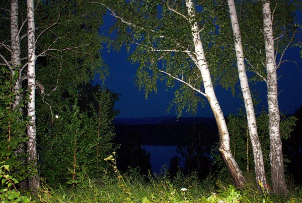 Красивая Березка Красноярский край