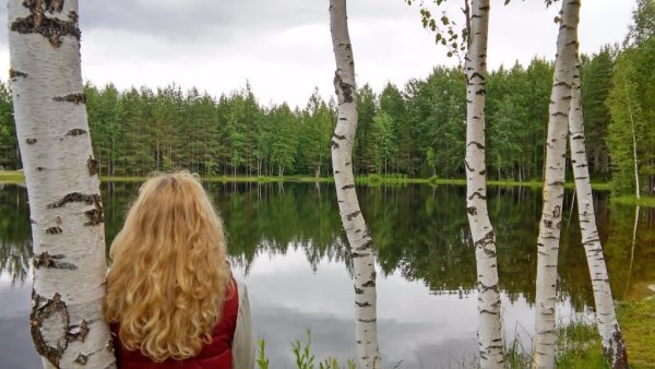 Березовая роща озеро Ивановская область