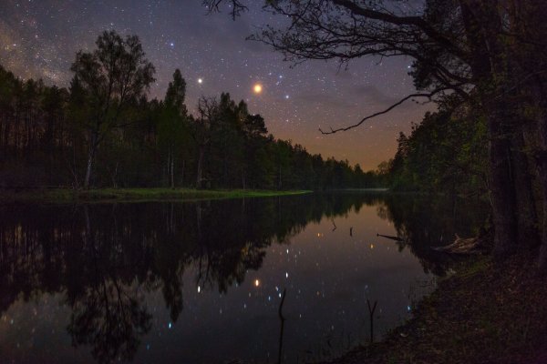 Березовая роща Якутии