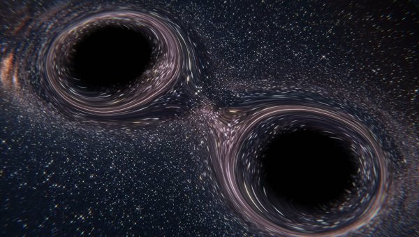 Black hole Cygnus x-1