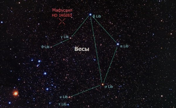 Созвездие весов