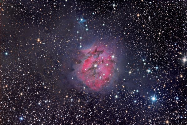 Supernova Remnant n 49