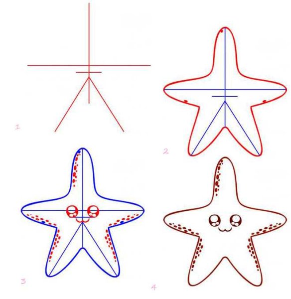 Поэтапное рисование морской звезды