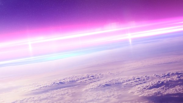 Розовый космос