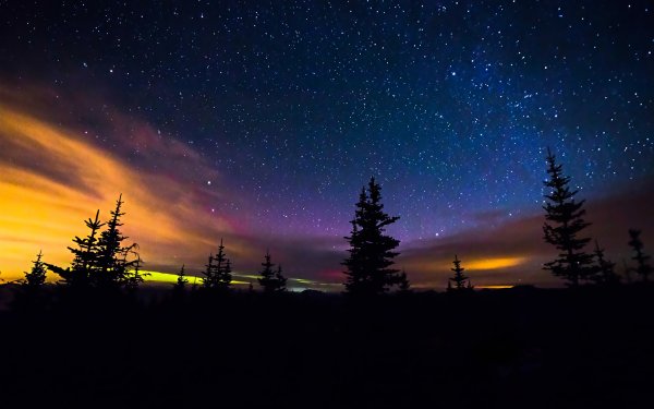 Ночной пейзаж