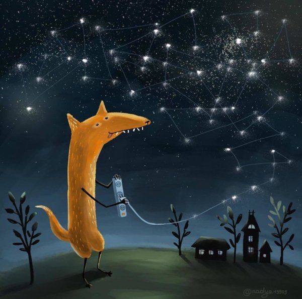Лиса и звездное небо
