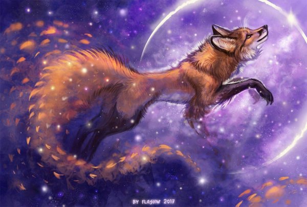 Космическая лиса