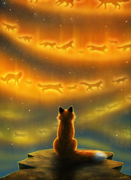 Лиса на закате