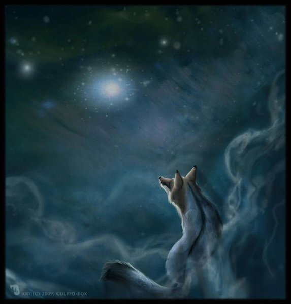Лисы с луной