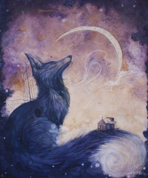 Лунная лиса