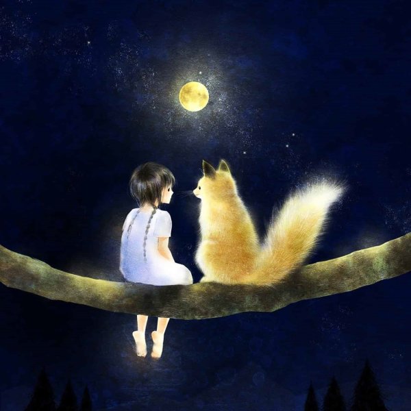 Спокойной ночи креативно