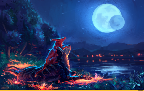 Найт Вулф арт