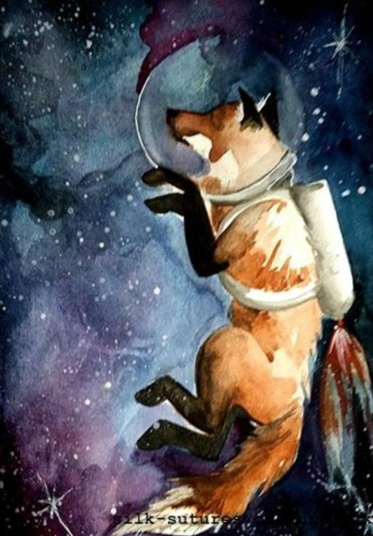 Лис в скафандре