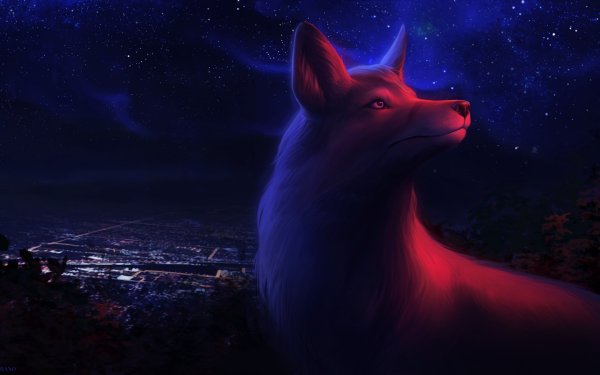 Лиса ночью арт