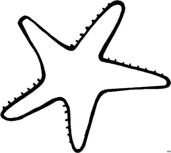 Раскраска морскиизвезды