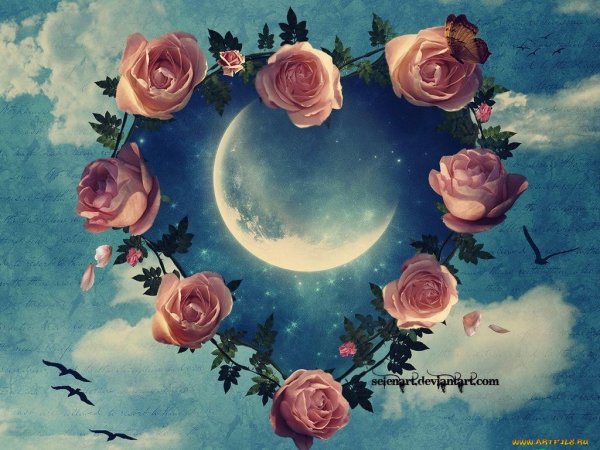 Луна на фоне цветов