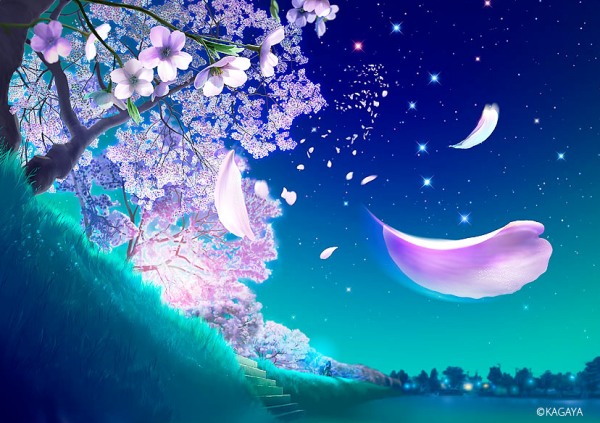 Озеро Текапо новая Зеландия ночное небо