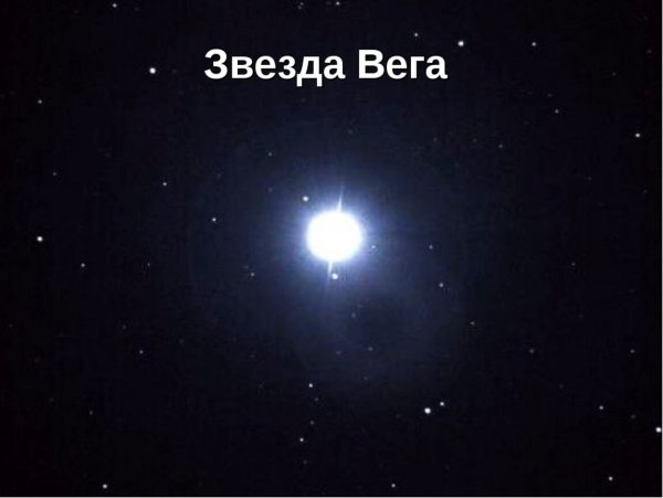 Голубая звезда Вега