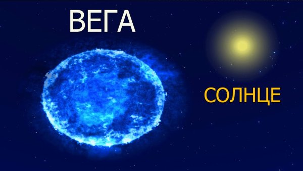 Вега звезда в созвездии