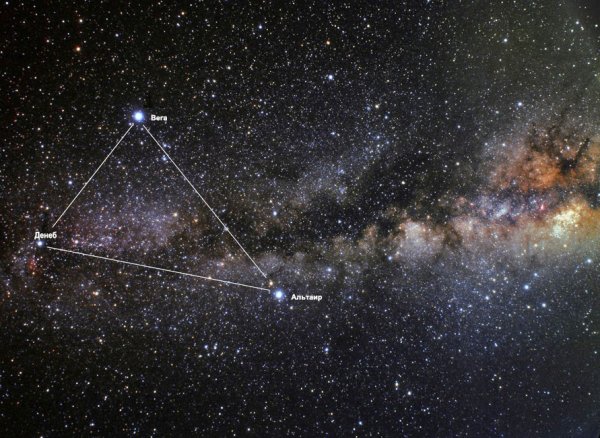 Вега звезда белый карлик