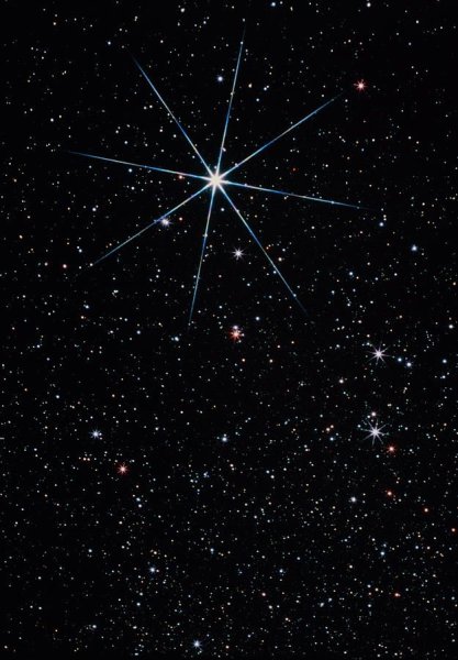 Вега звезда