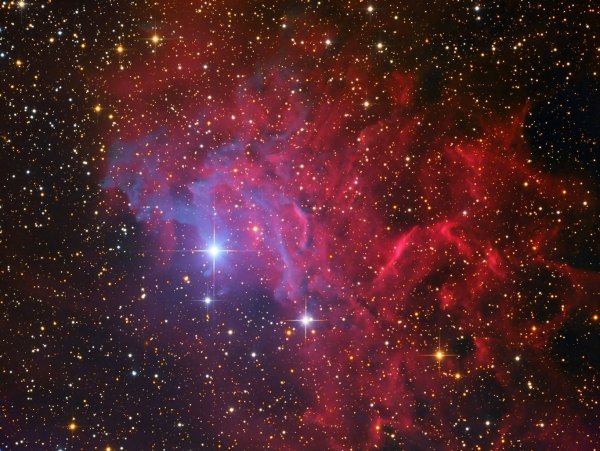 Звездный цветок