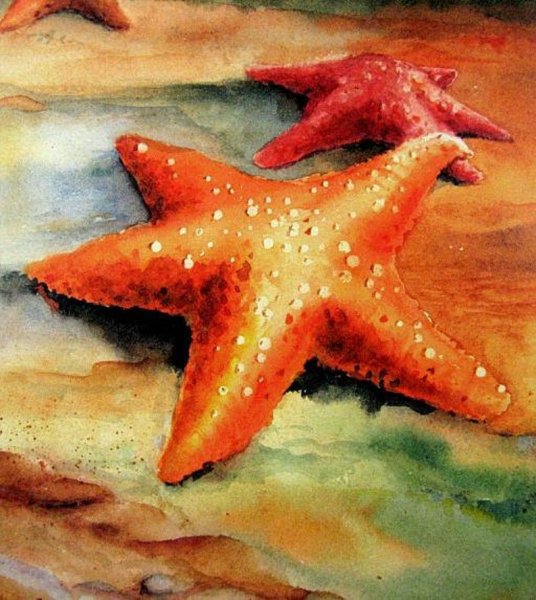 Морская звезда живопись