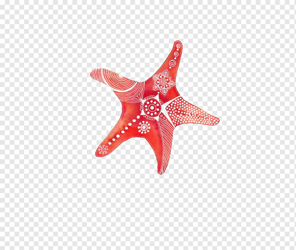 Морская звезда