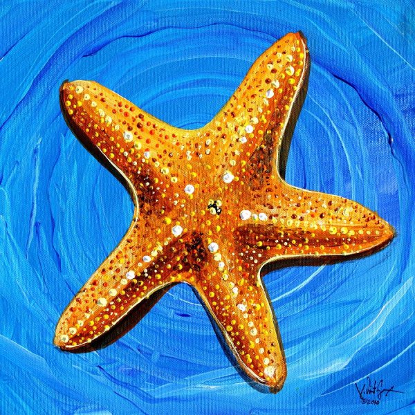 Sea Stars мультяшная
