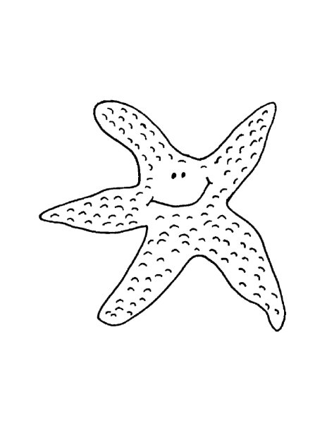Морская звезда трафарет
