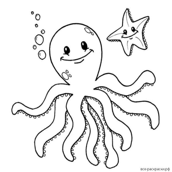 Морская звезда чб