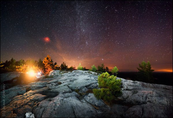 Виктория Базгадзе