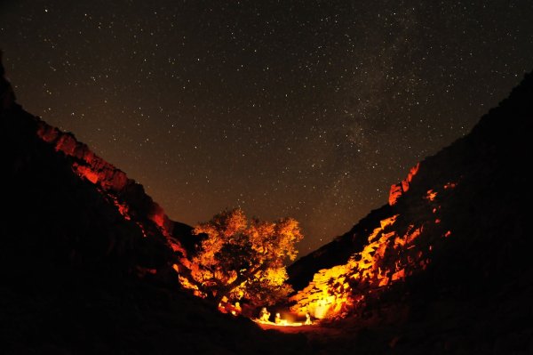 Ночной костер в лесу