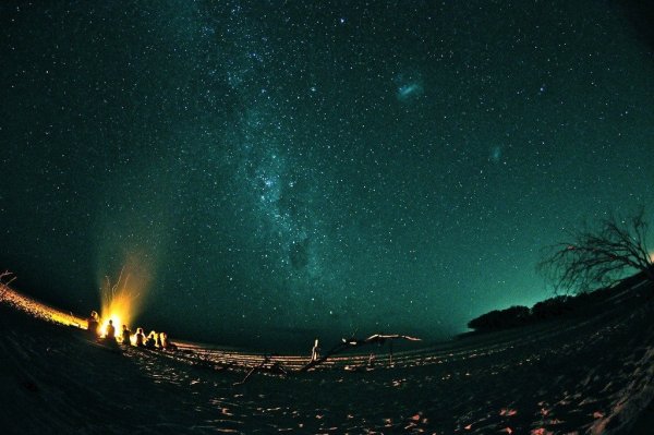 Ночное небо у костра