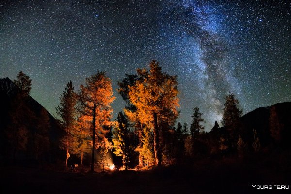 Вечер у костра