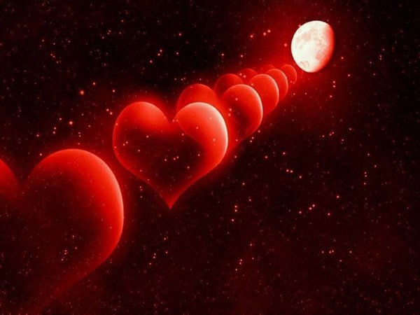 Ночное сердце