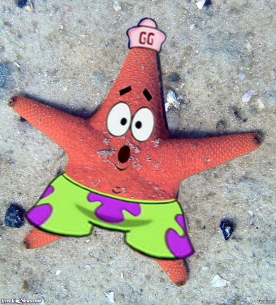 Патрик морская звезда