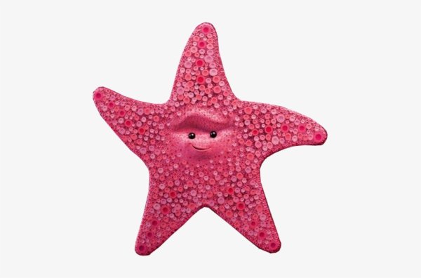 Класс морские звезды Asteroidea