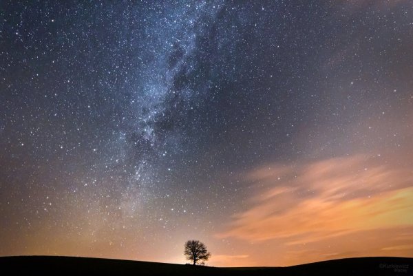 Закат звезды